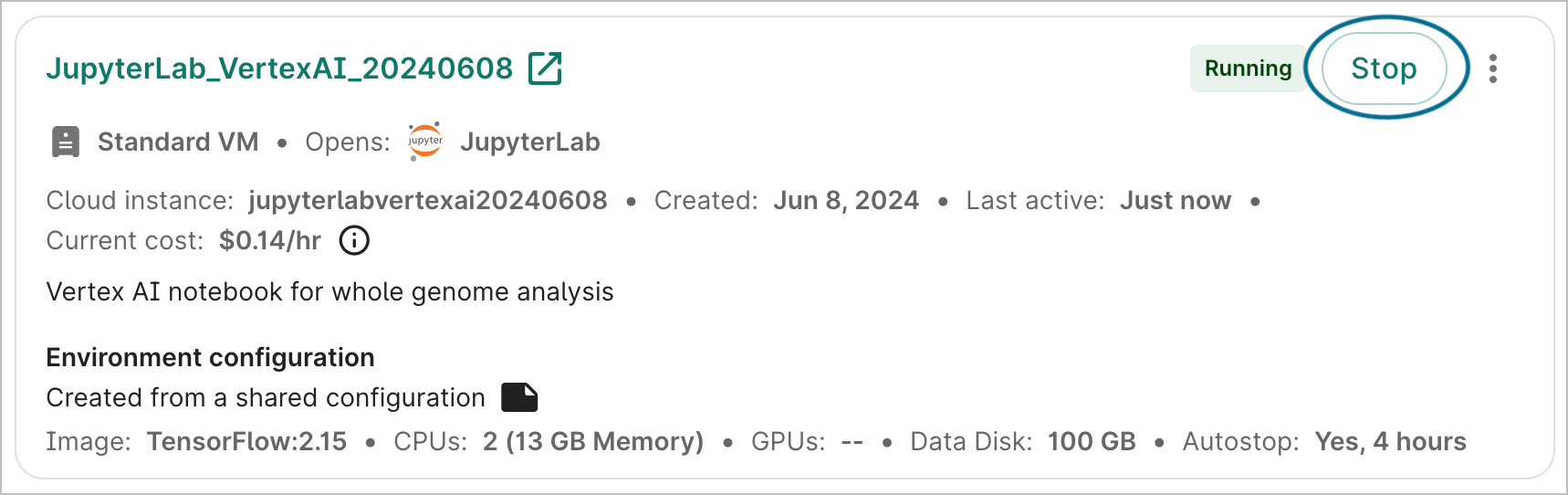 Screenshot of a cloud environment's details card, with the Stop button highlighted.