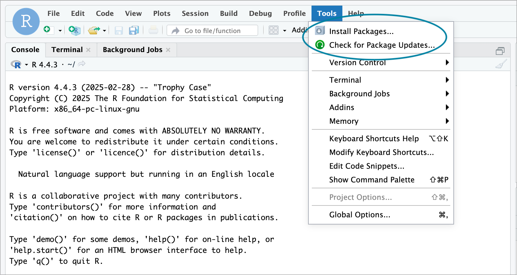 Tools menu in R Analysis Environment expanded to show Install packages and Check for Package Updates options.