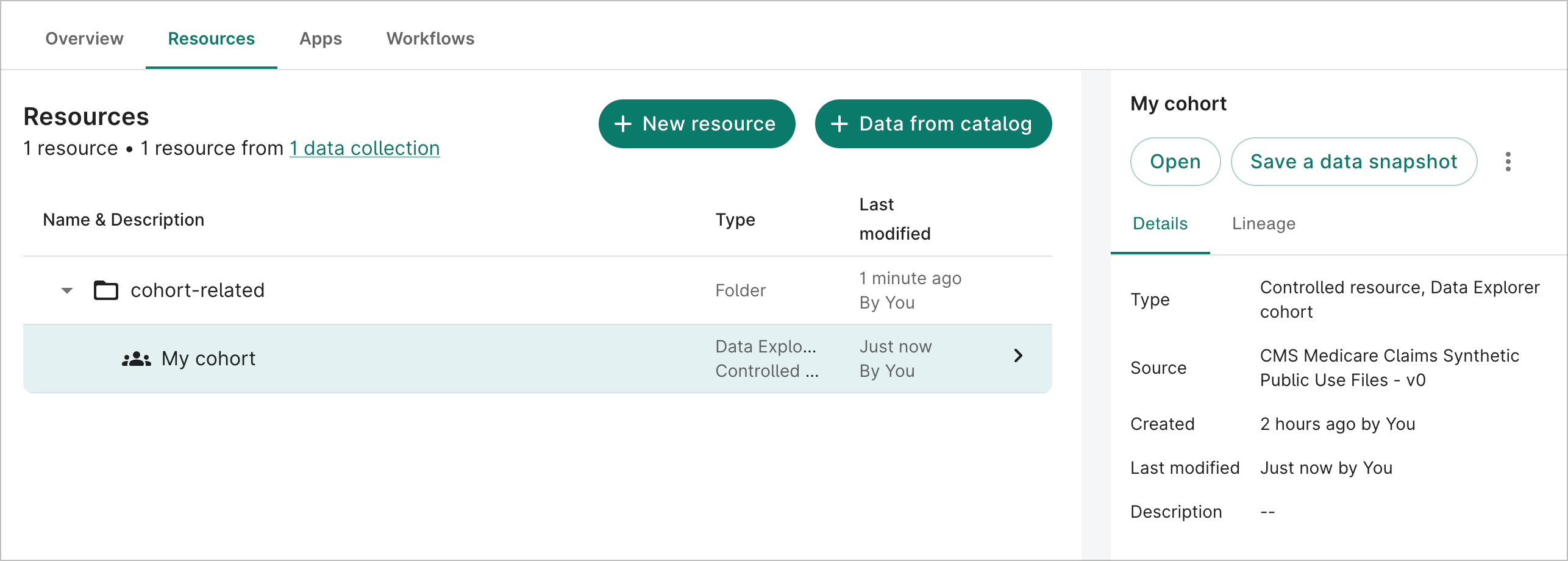 Resources tab in a
   workspace showing a saved cohort.