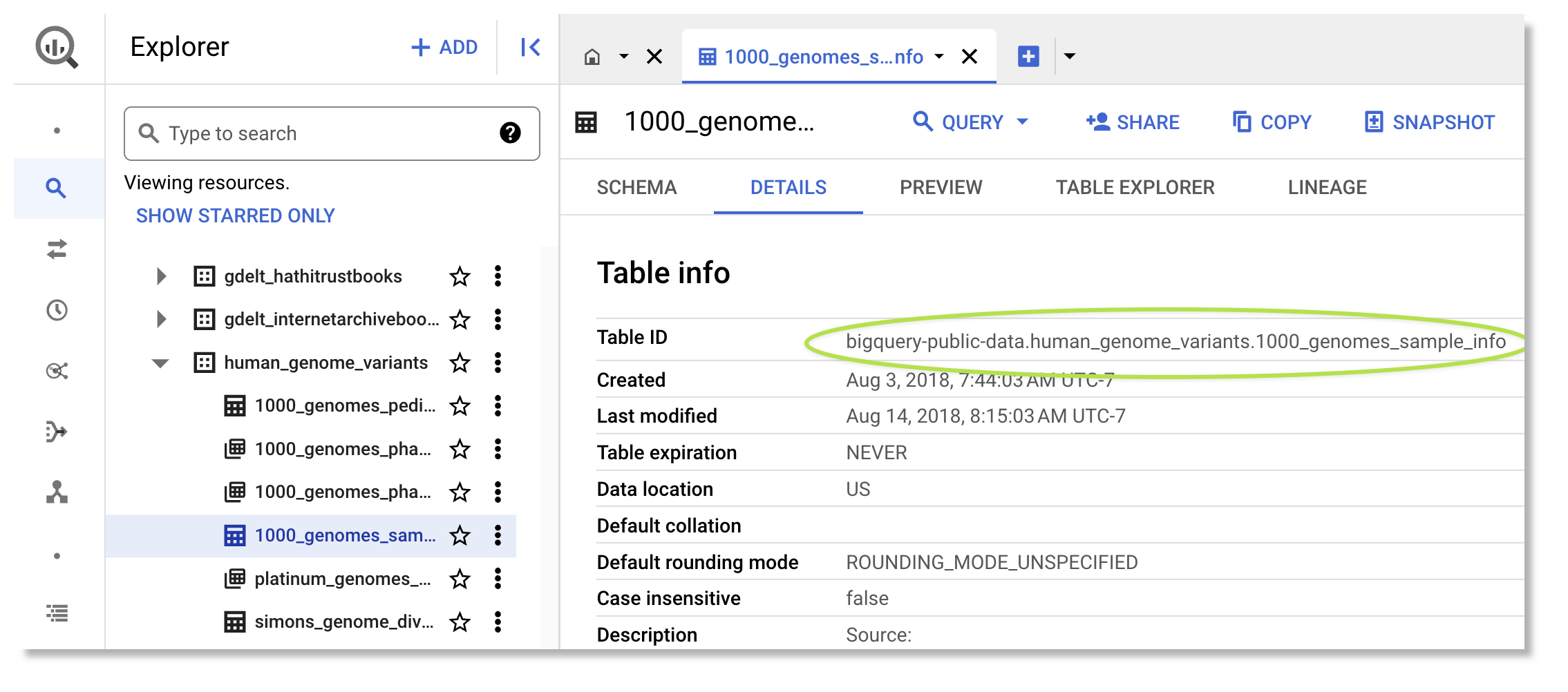 Screenshot of a list of resources with Table ID information highlighted in Google Cloud console.
