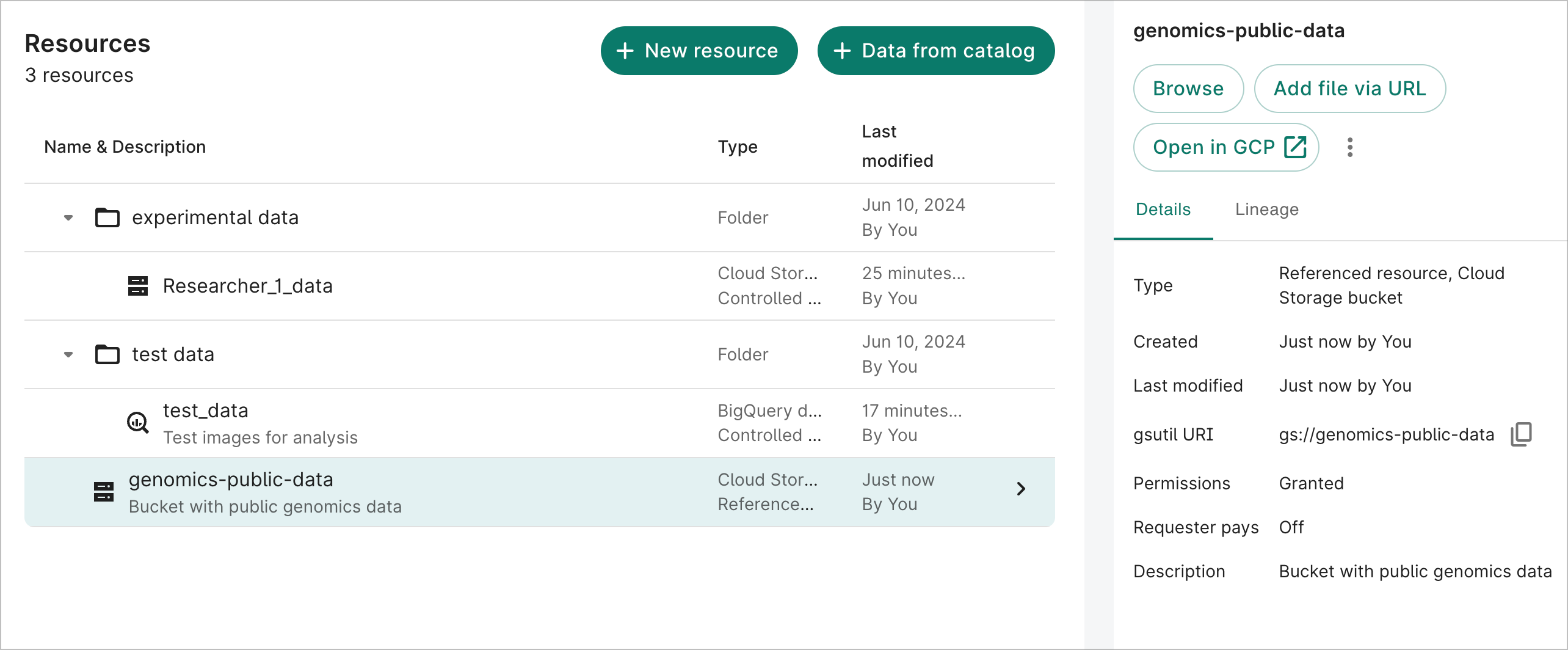 Screenshot showing details of a Cloud Storage bucket referenced resource.