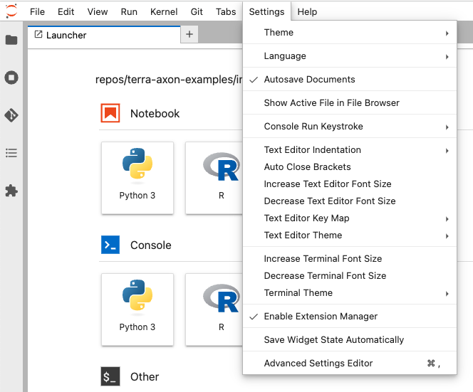 Screenshot of expanded Settings menu in JupyterLab, with 'Enable Extension Manager' checked off.