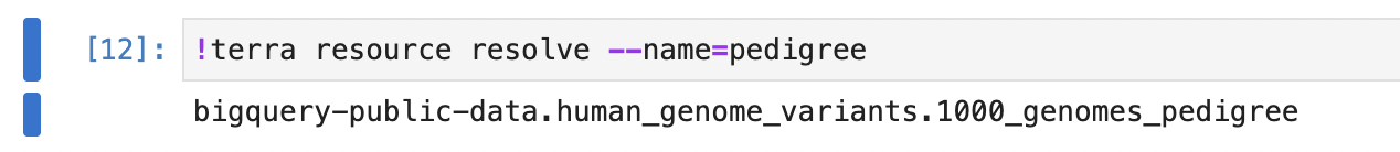 Screenshot of terra command to resolve a data reference using shell magic prefix `!`.