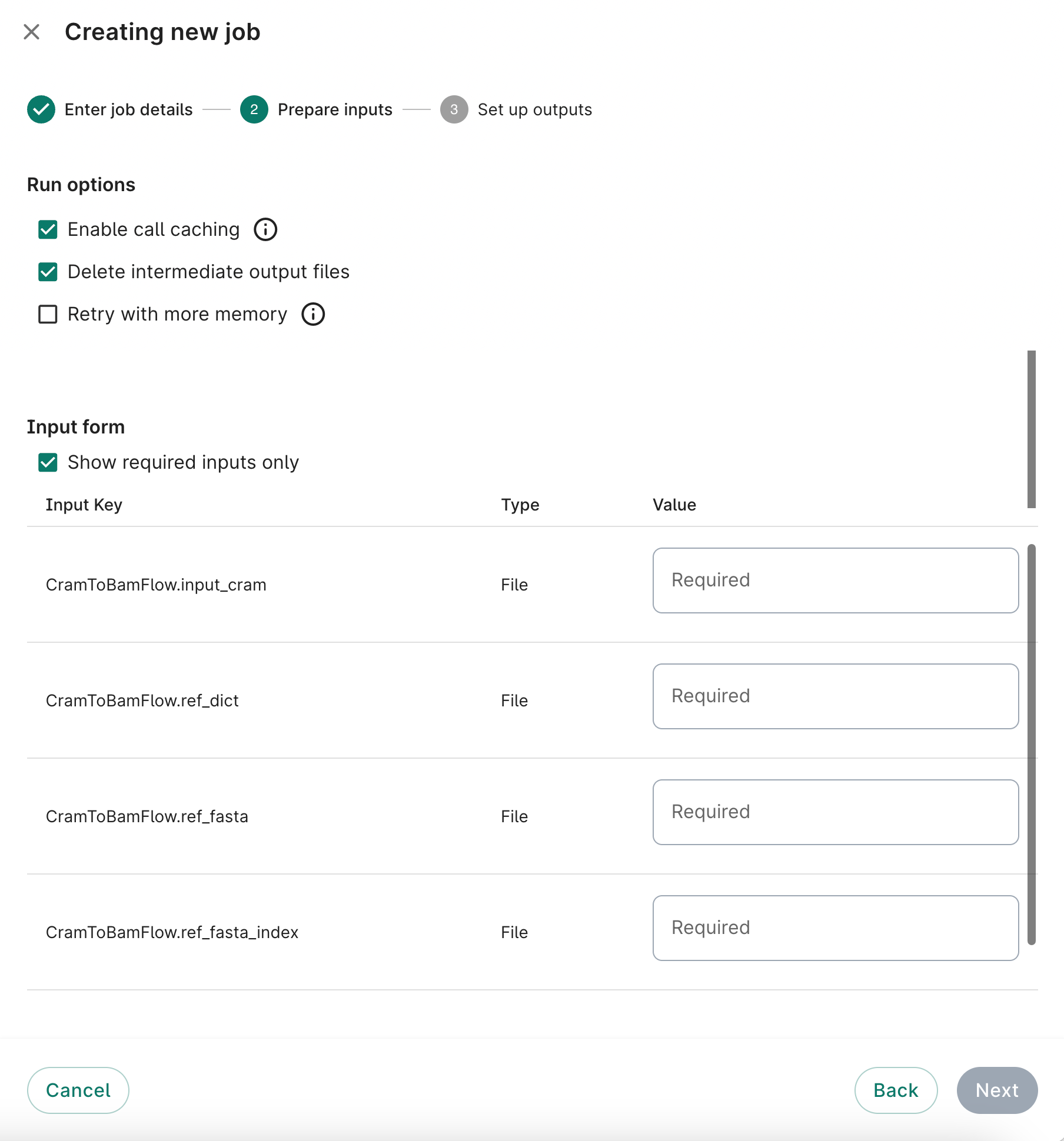 Screenshot of Prepare inputs dialog showing run options and input form, the second step when creating a new job.